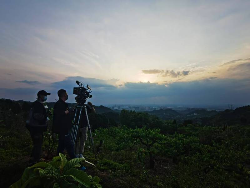 聚焦竹溪县产品宣传视频拍摄公司，用专业实力铸就品牌传播传奇