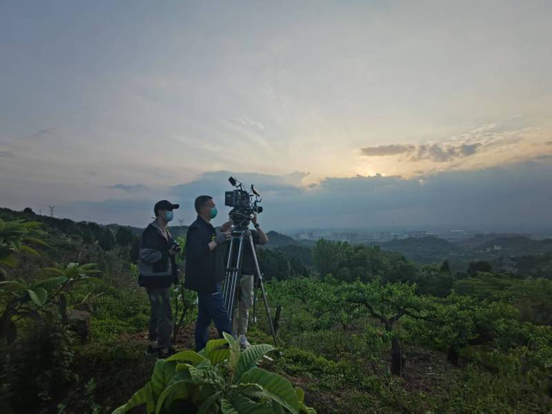 创意破圈！竹溪县电商产品宣传视频用故事化叙事引爆流量